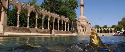 Makissos Travel - Kırşehir